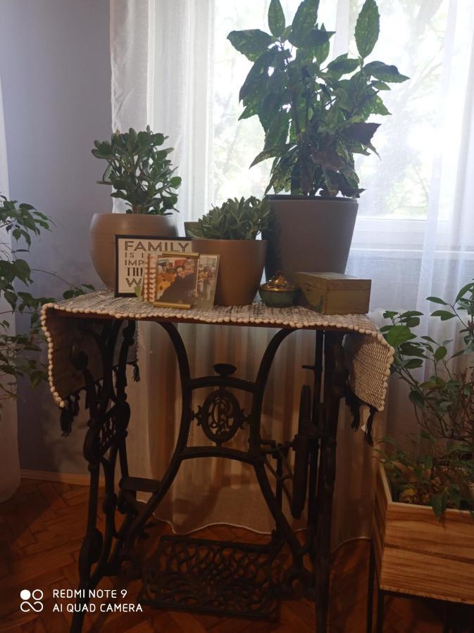 Appartement Aparmani Djuric à Subotica Extérieur photo