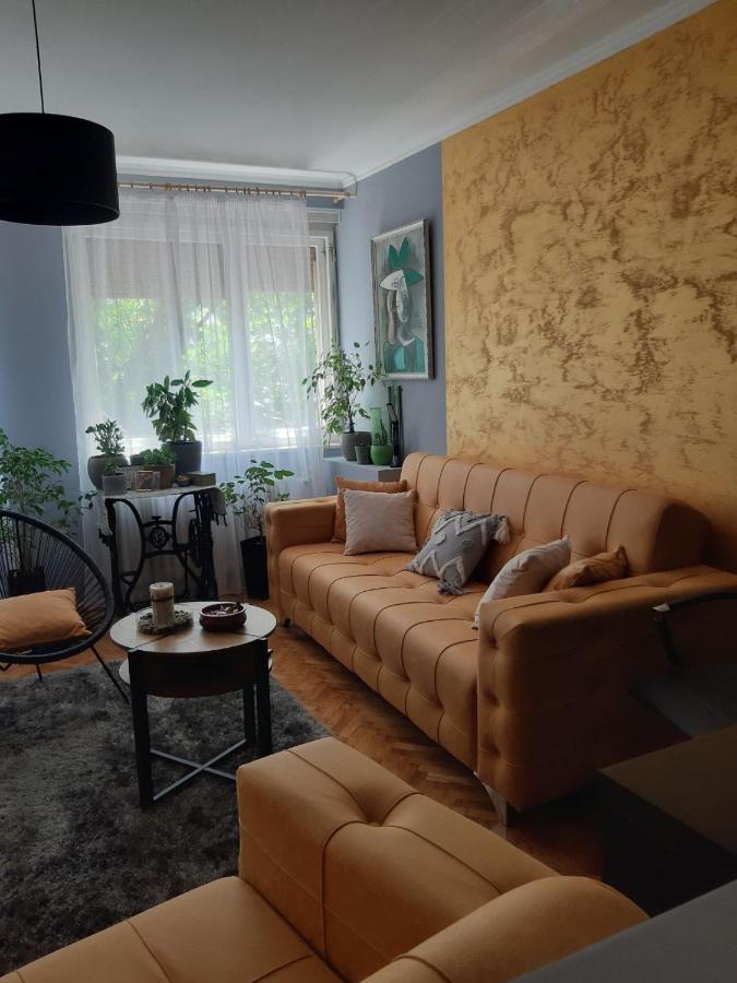 Appartement Aparmani Djuric à Subotica Extérieur photo